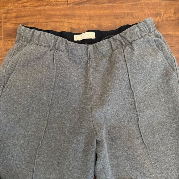 Everlane Women's The Dream Pant Size M Gray Tailored Look Sweat Pant Feel - Picture 5 of 12